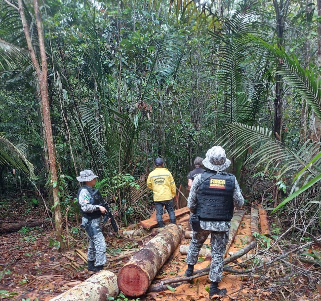 Brasil divulga programas voltados à proteção da Amazônia na COP 27